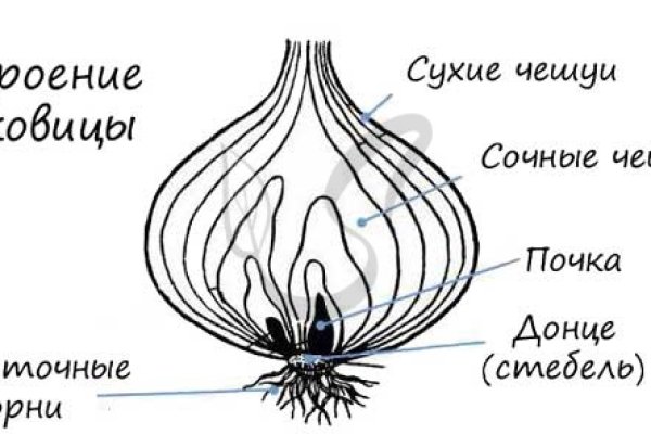 Кракен сайт сегодня